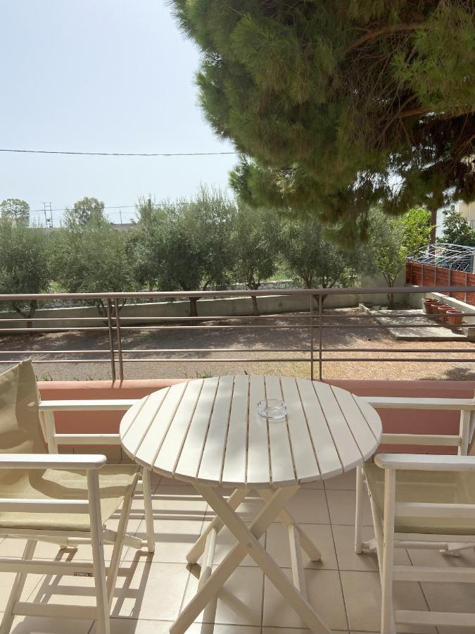 伊西翁Casa Di Terra公寓 外观 照片